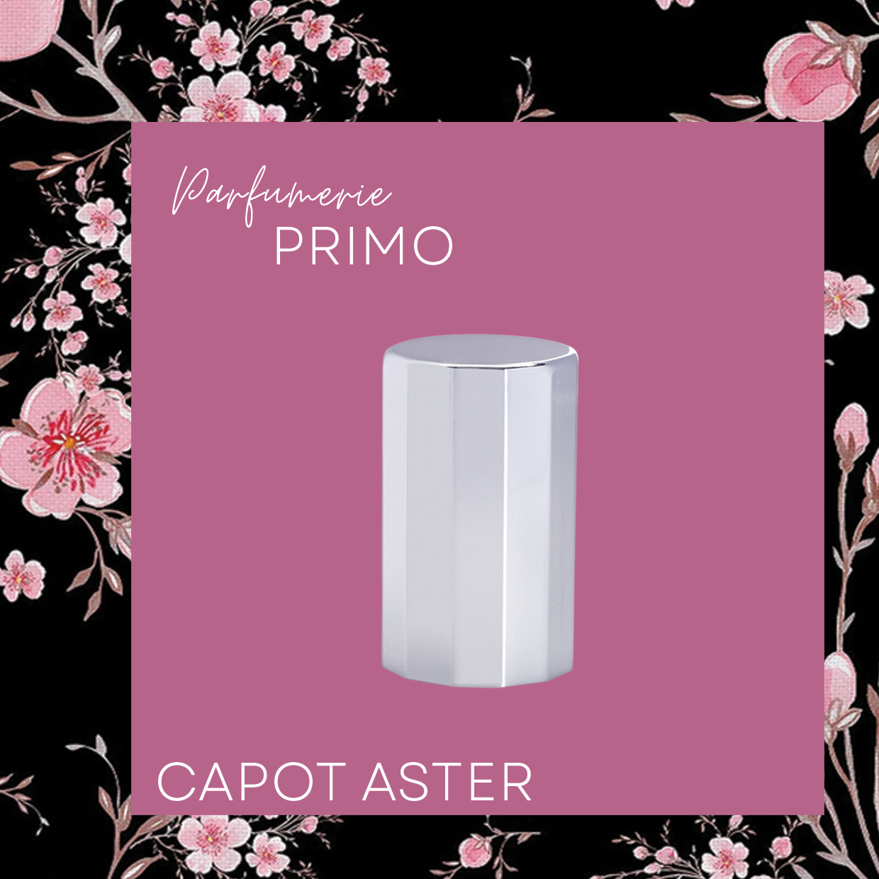 PRIMO CAPOT ASTER